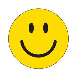 Vinyl Smiley Window Stickers