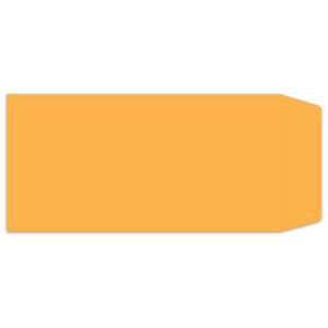 License Plate Envelopes - Buff - Blank Moist & Seal